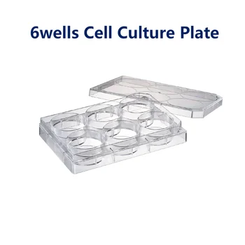 Пластина для культивирования клеток Watson Bio Lab 6 ячеек 12 ячеек 24 ячейки 48 ячеек Стерилизована 8 Канальными Пипетками Автоматический Дозатор